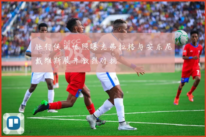 独行侠训练照曝光弗拉格与安东尼戴维斯展开激烈对抗